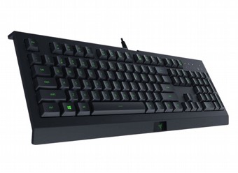 ����� ������� RAZER Cynosa Lite ����� ����