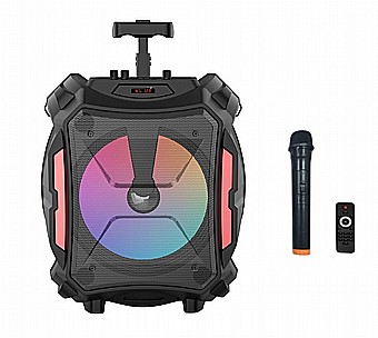 ������� ������ ZQS-12110 ����� 12 ����` ������ 30W �� �������� ����� �����