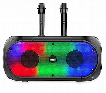 ������� ������ ZQS-6215 ������ - ����� 6.5x2 ����` ������ 30W ������ ����� ���� ���������� ��������